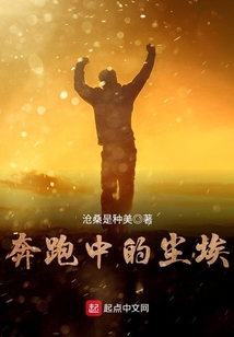 奔跑的尘埃小说