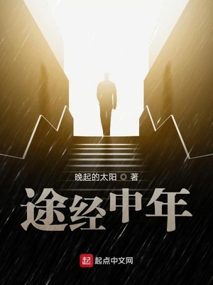 途经中年小说