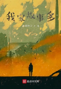 我家故事多作文