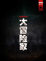 大冒险家(谜小说系列)