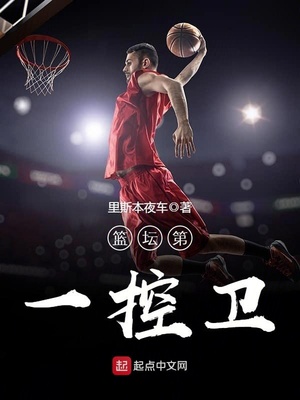 篮坛第一控卫 小说