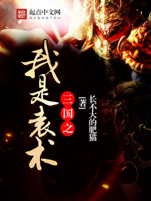 三国之我是袁术 小说