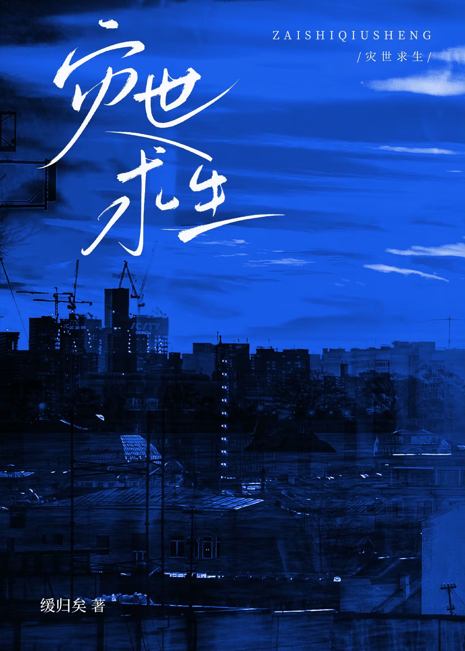 灾世求生缓归矣