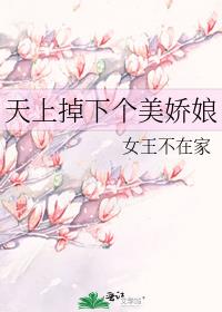 穿书到八零,天上掉下个美娇娘