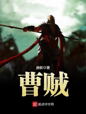 曹贼武魂小说