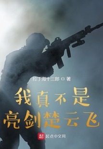 我真不是亮剑楚云飞下载