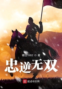 无双逆臣小说