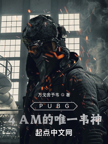 绝地求生韦神单人四排