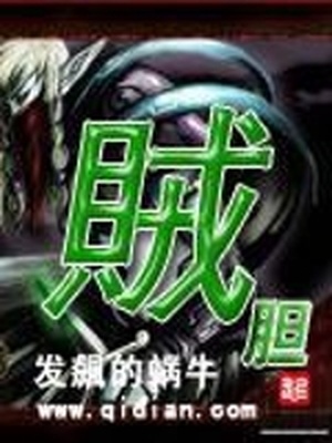 贼胆包天小说在线阅读