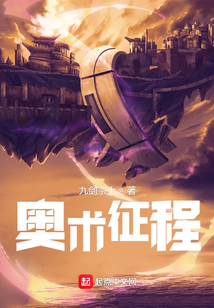 奥术征程 小说