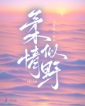 柔情似野笔阁趣