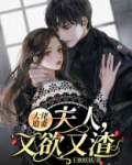 大佬追妻：夫人，又欲又渣