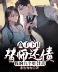 高手下山：替师还债，我的九个娃娃亲