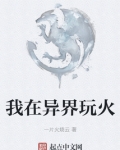 我在异界玩火小说