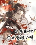 白月光NPC今天觉醒了吗