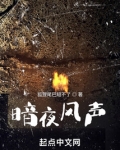 暗夜风声完本txt