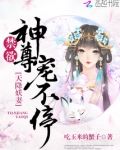 天降妖妻：禁欲神尊宠不停