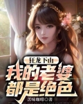 狂龙下山凌锋叶灵蔓