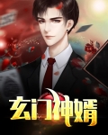 上门神婿