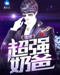 类似地球最强奶爸小说
