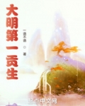 大明第一贡生免费