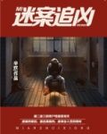 迷案追凶