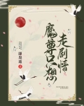 魔尊只想走剧情笔趣阁
