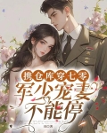 携仓库穿七零，军少宠妻不能停