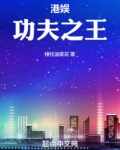 港娱功夫之王无错版