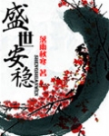 盛世安稳TXT下载