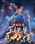 盛宠狂妻：王妃是马甲大佬