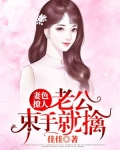 妻色撩人:厉少,请接招 小说