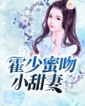 霍少宠妻甜如蜜 小说