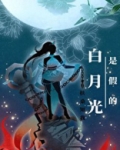白月光是假的书评