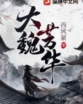 大魏芳华收了多少女
