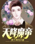 天降魔帝
