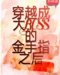 穿越成大boss的金手指之后小说