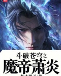 斗破苍穹魔帝是谁