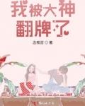 我翻了被大佬