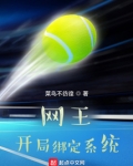 网王：开局绑定领袖系统！