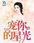 宠你的星光破解版完结
