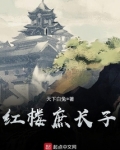红楼庶长子贾琰封王天下白兔