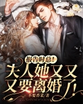 报告时总!夫人她又又又要离婚了!短剧