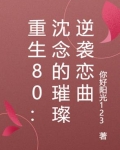 重生80：沈念的璀璨逆袭恋曲