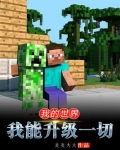 我的世界：我能升级一切
