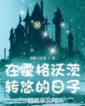 在霍格沃茨转悠的日子小说