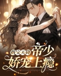 萌宝天降：帝少娇宠上瘾