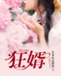 狂婿临门全集免费观看