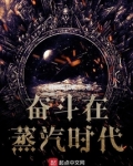 奋斗在蒸汽时代等级