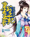 重生王爷公主妃